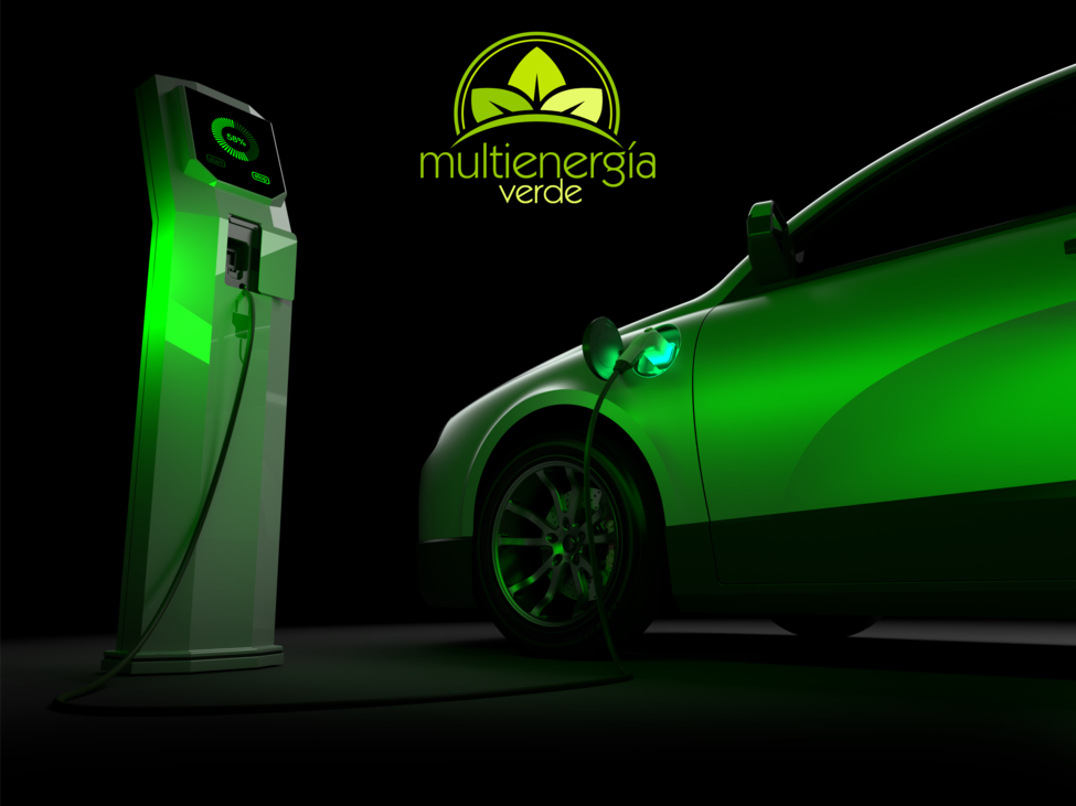 Cargador   Multienergia Verde   IP