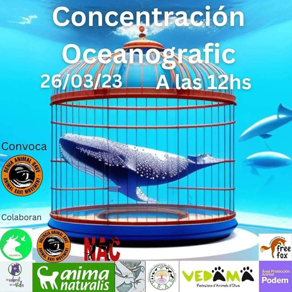IMG 20230320 WA0000
