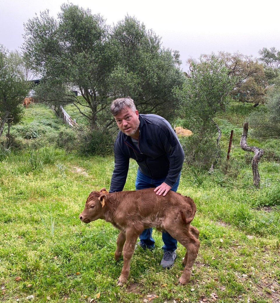 Edurado Guirola con un ternero de su ganadería