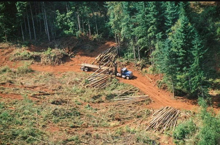 Deforestacion Brasil Raisg
