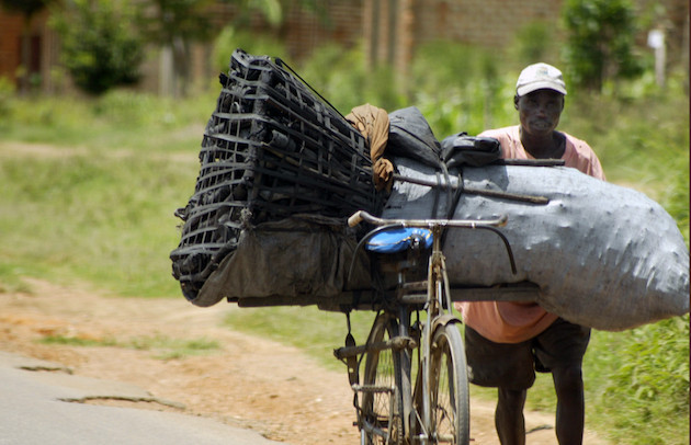 Some peasants in parts of Uganda have depended on small scal charcola production for livlihoods but the trade has been taken over by illicit charcoal traders Credit Wambi Michael