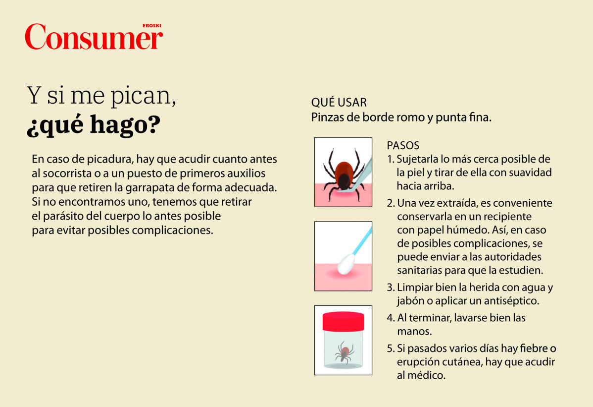 Garrapatas Lyme QueHago