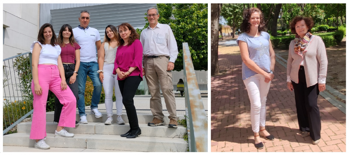 Grupo CNM CNE parotiditis