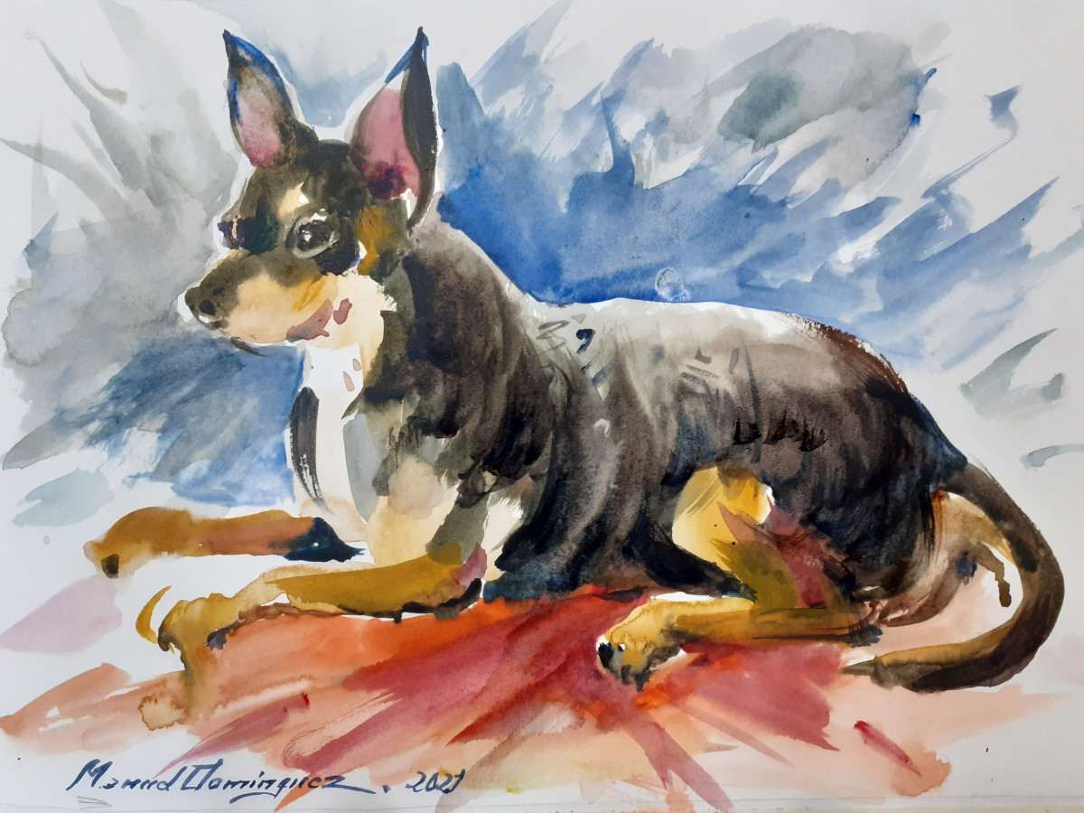 2021 acuarela mascotas Chihuahua