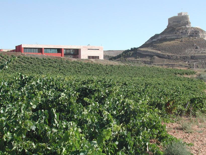 Bodega Comege y castillo de Peñafiel