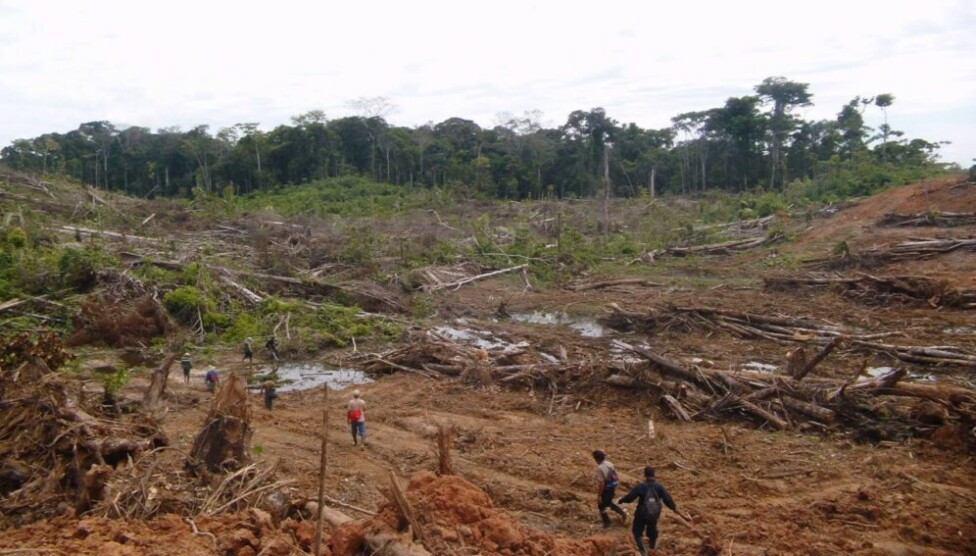 Deforestacion Peru Serfor
