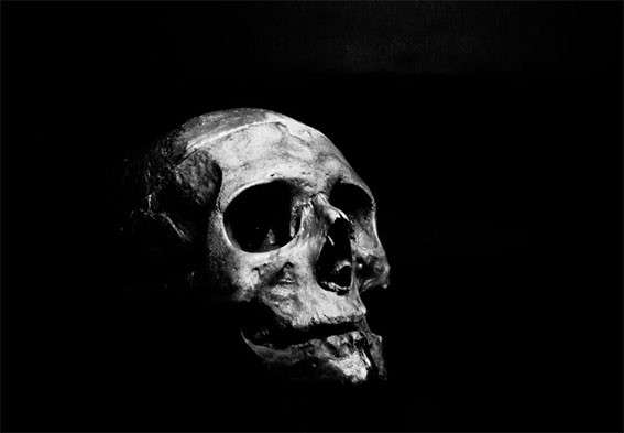 Imagen calavera