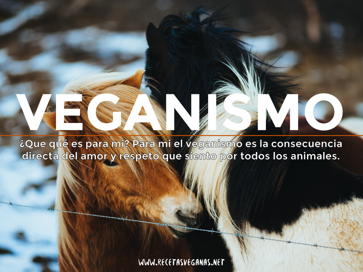 Que es el veganismo UNAVEGANAPORELMUNDO