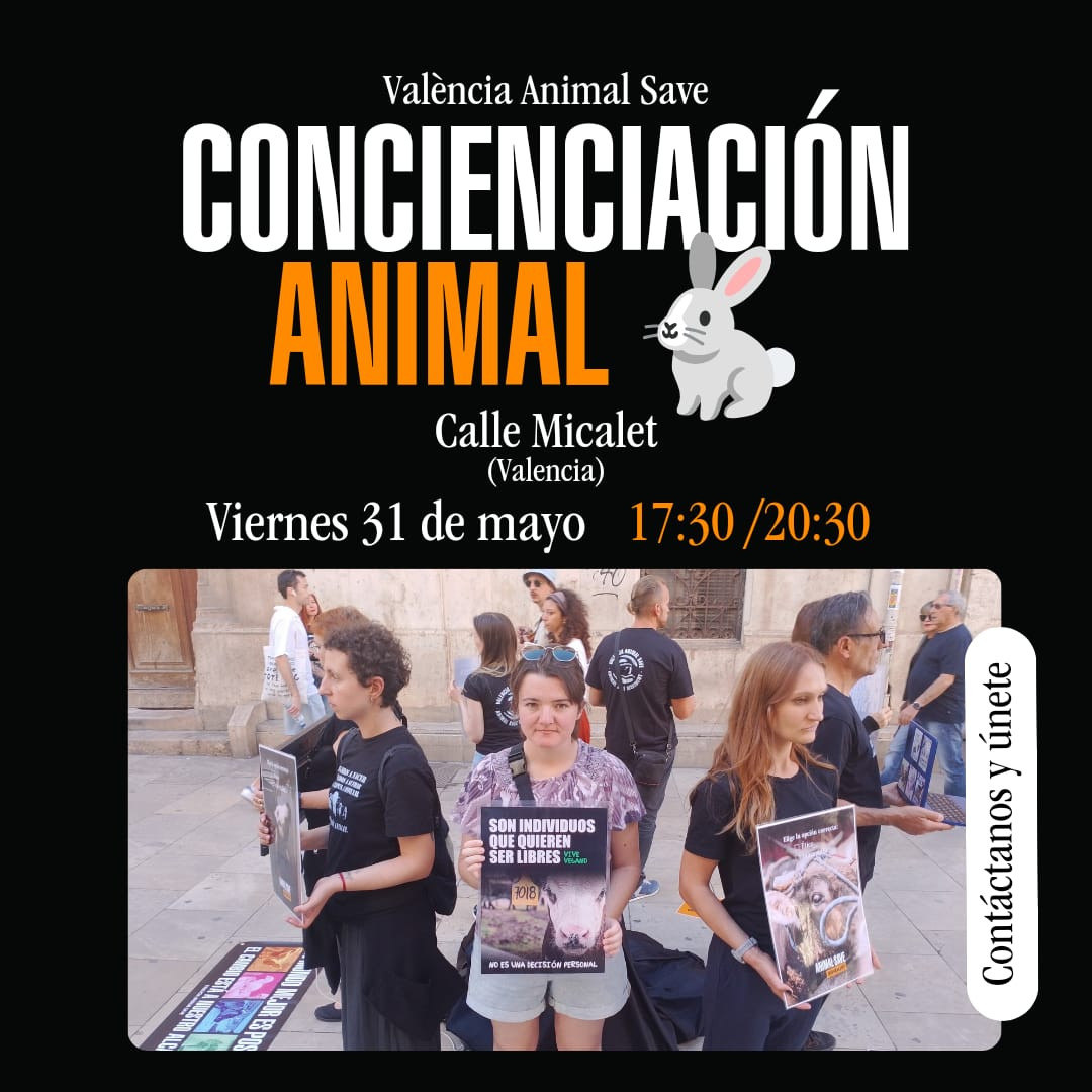 IMG 20240518 WA0014