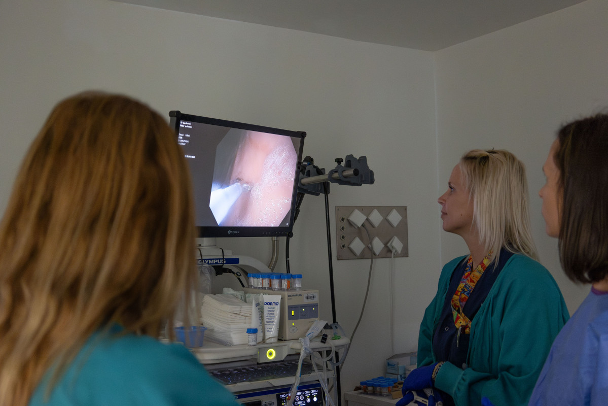 Colonoscopia aparato digestivo quironsalud marbella press