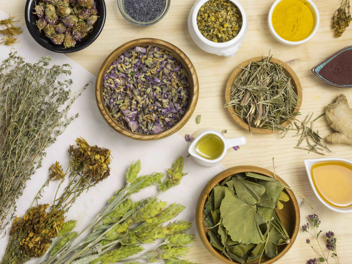 Plantas medicinales