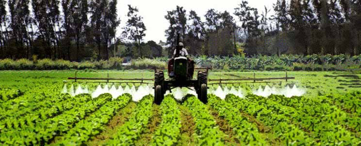 Fertilizantes Pensemos Verde