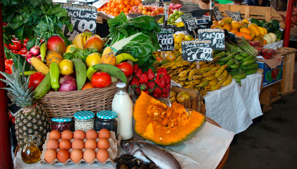 Dietas saludables FAO