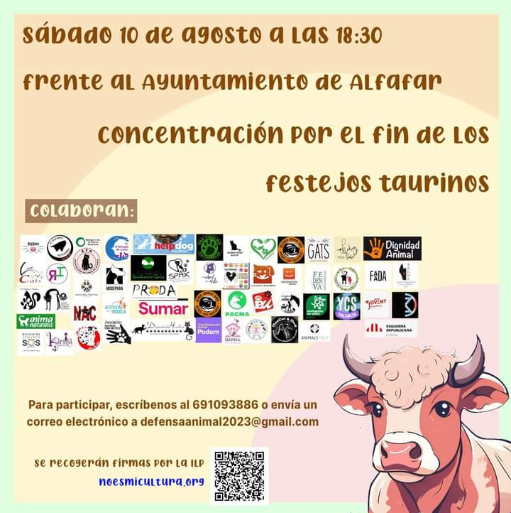 FB IMG 1723041406695