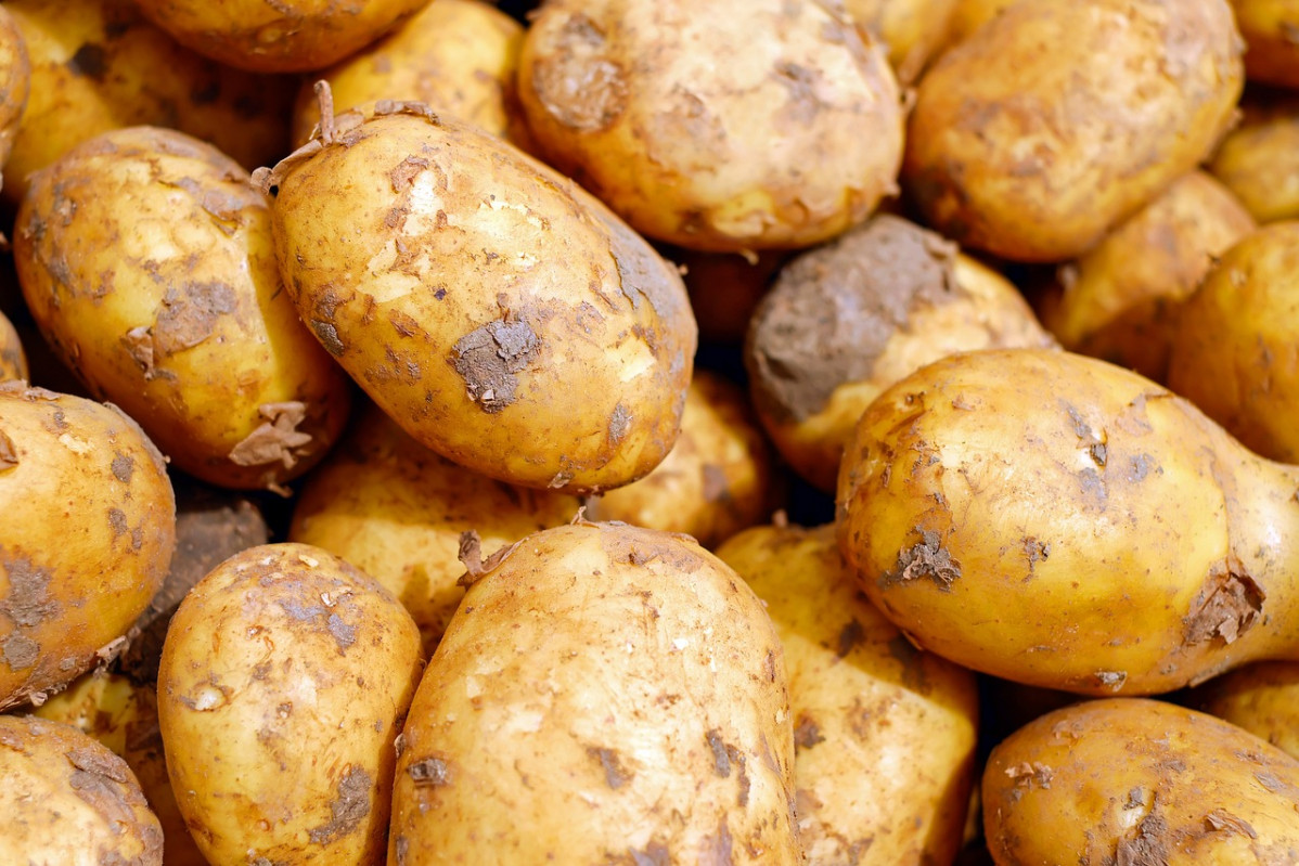 Potatoes 2329648 1280