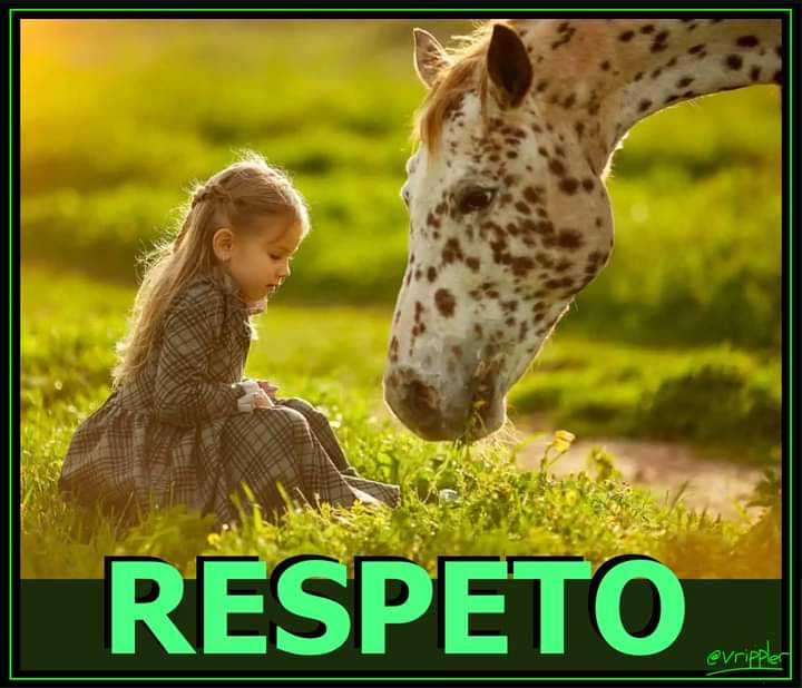 FB IMG 1729962449713