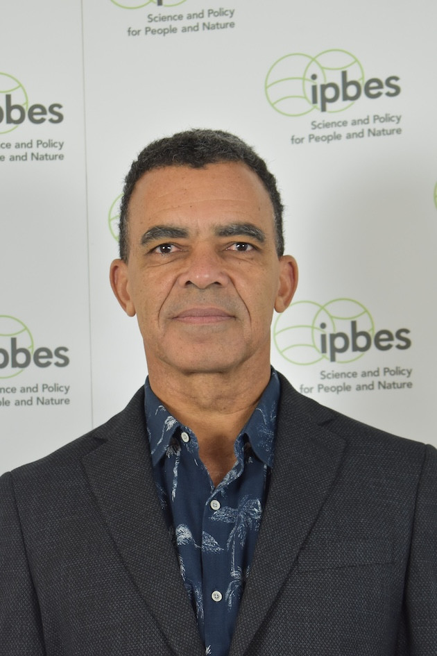 IPbes 2