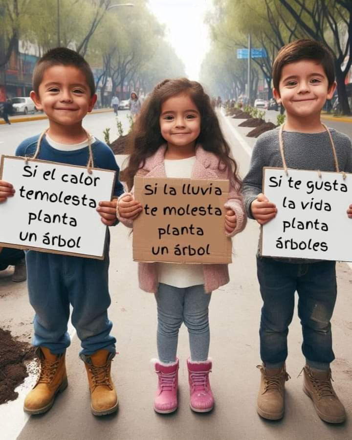 FB IMG 1723566422399