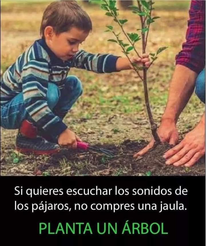 FB IMG 1736692508941