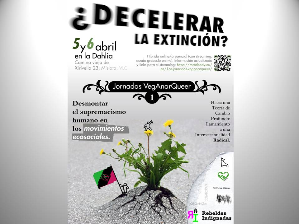 Presentación1