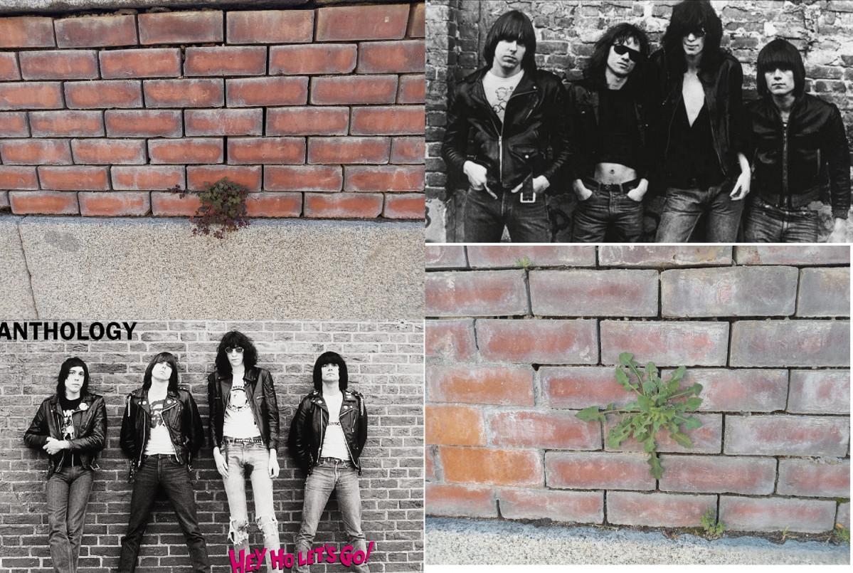 Pared ladrillo plantas Ramones