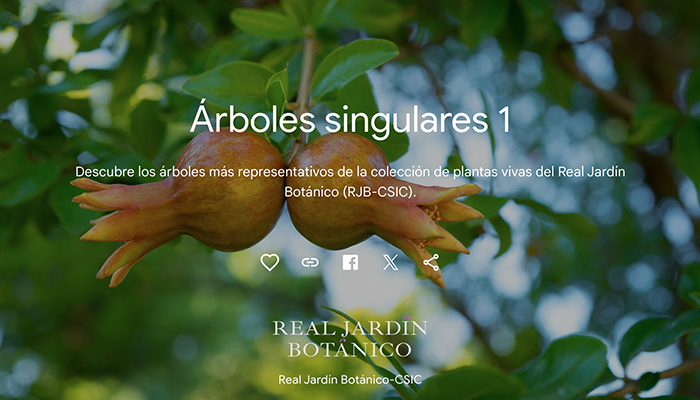 DestacadaWWW Arboles singulares