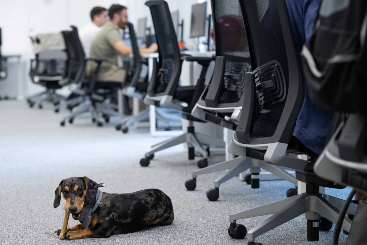 DíaPerroenelTrabajo