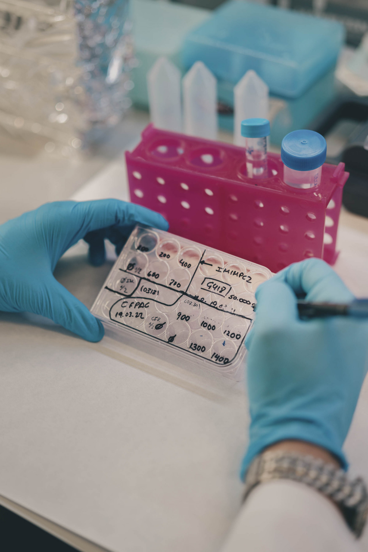 INVESTIGACION 21