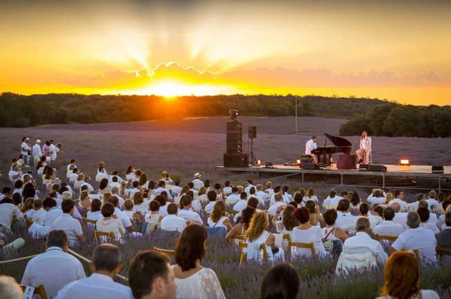 Festival la lavanda