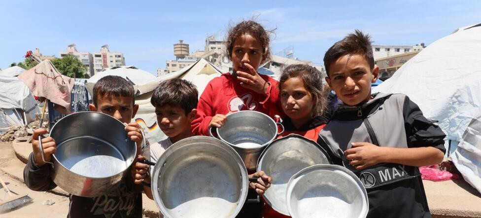 Eliminar falsa ayuda a Gaza piden mas de 100 organizaciones