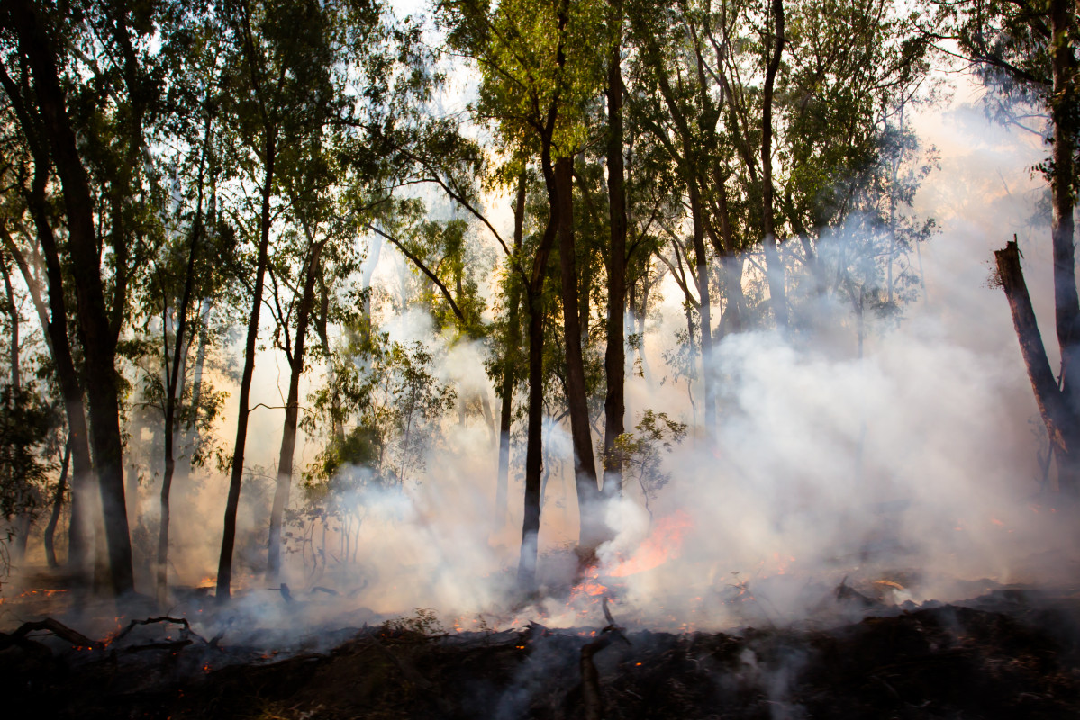 Controlled fire burn 2025 03 07 12 05 08 utc (1)