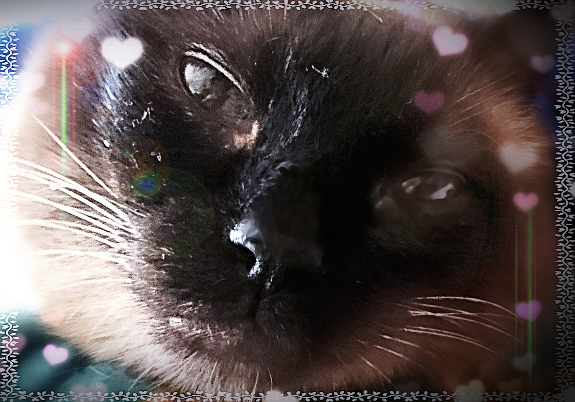 CYMERA 20250815 224928