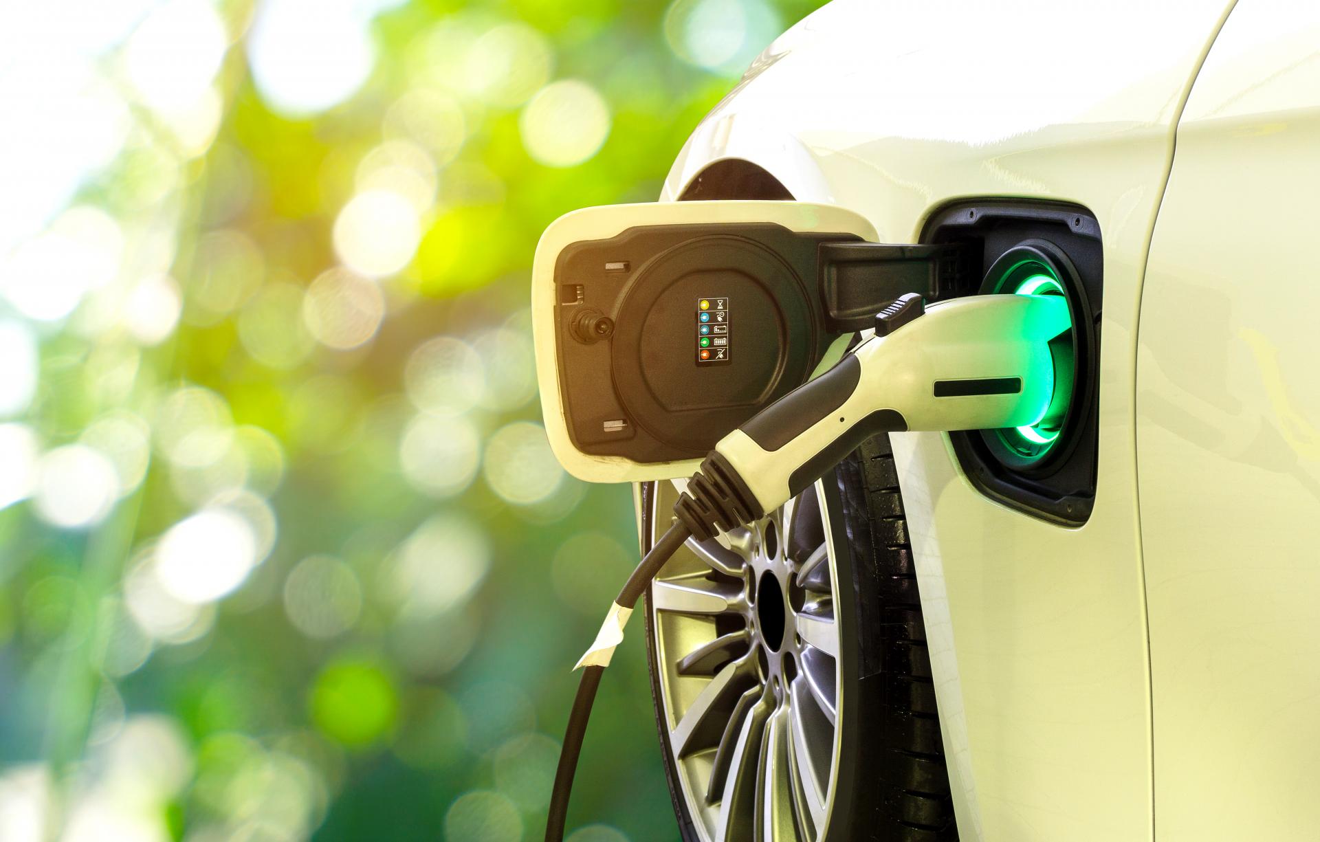 SF Motor Premium: vehículos de ocasión, como Tesla de segunda mano
