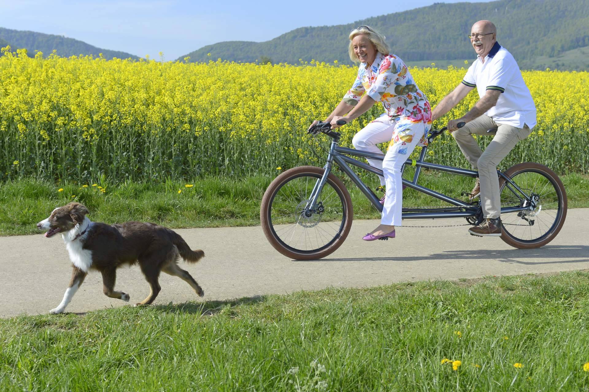 Adoptar perros, una forma de ganar amigos