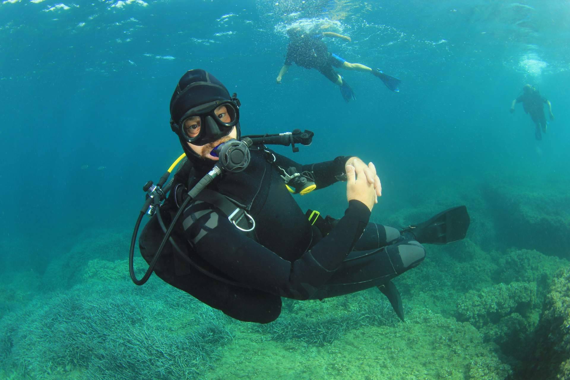 ¿Cuáles son los mejores cursos de buceo en España?, por Diveasapp