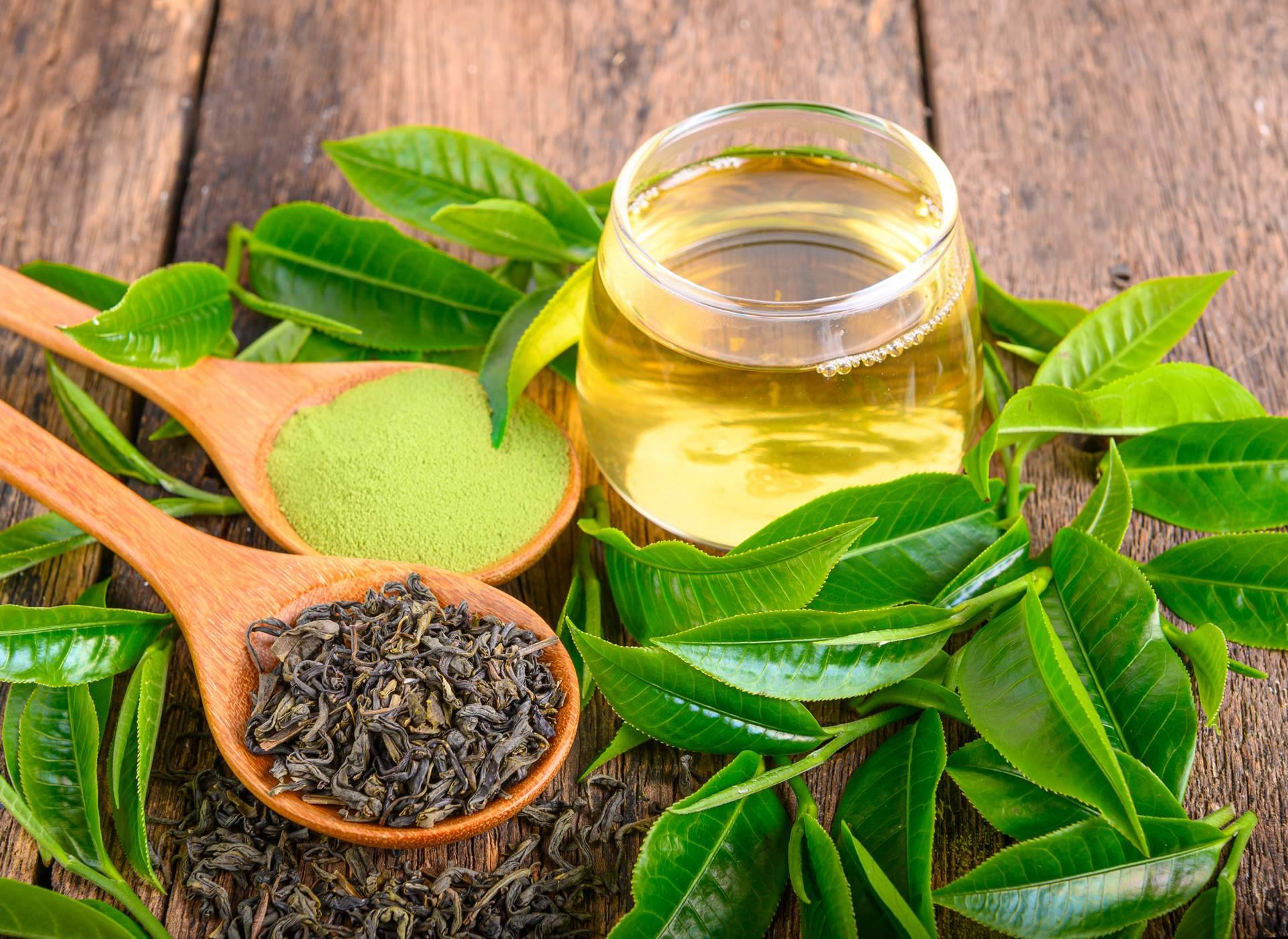 Cuáles son las propiedades del té con ganoderma, Reishi Gano Té DXN