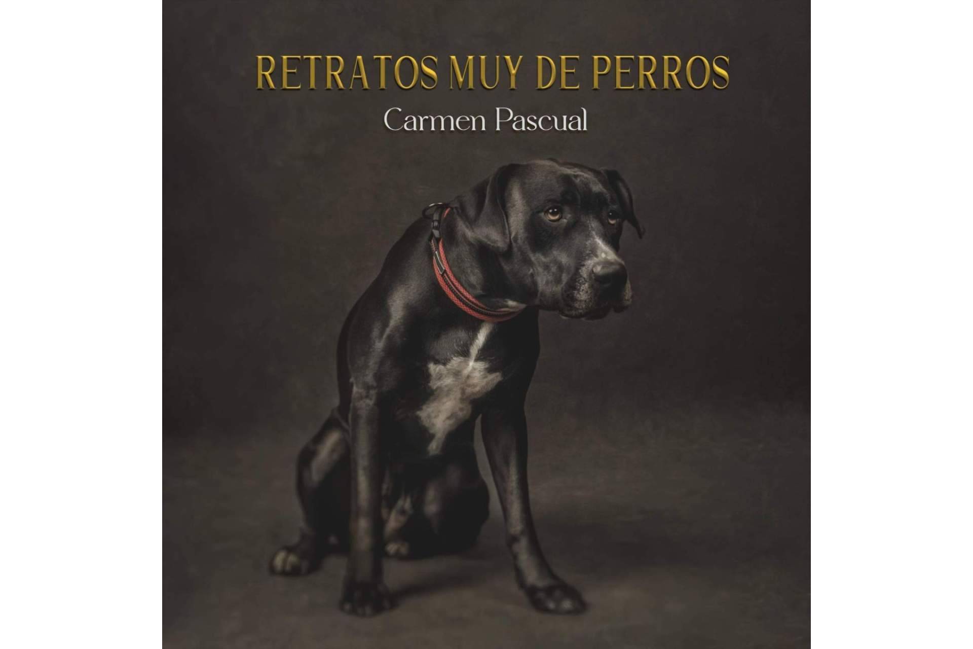 ‘Retratos muy de perros’, la obra de Carmen Pascual editada por Libros y Literatura