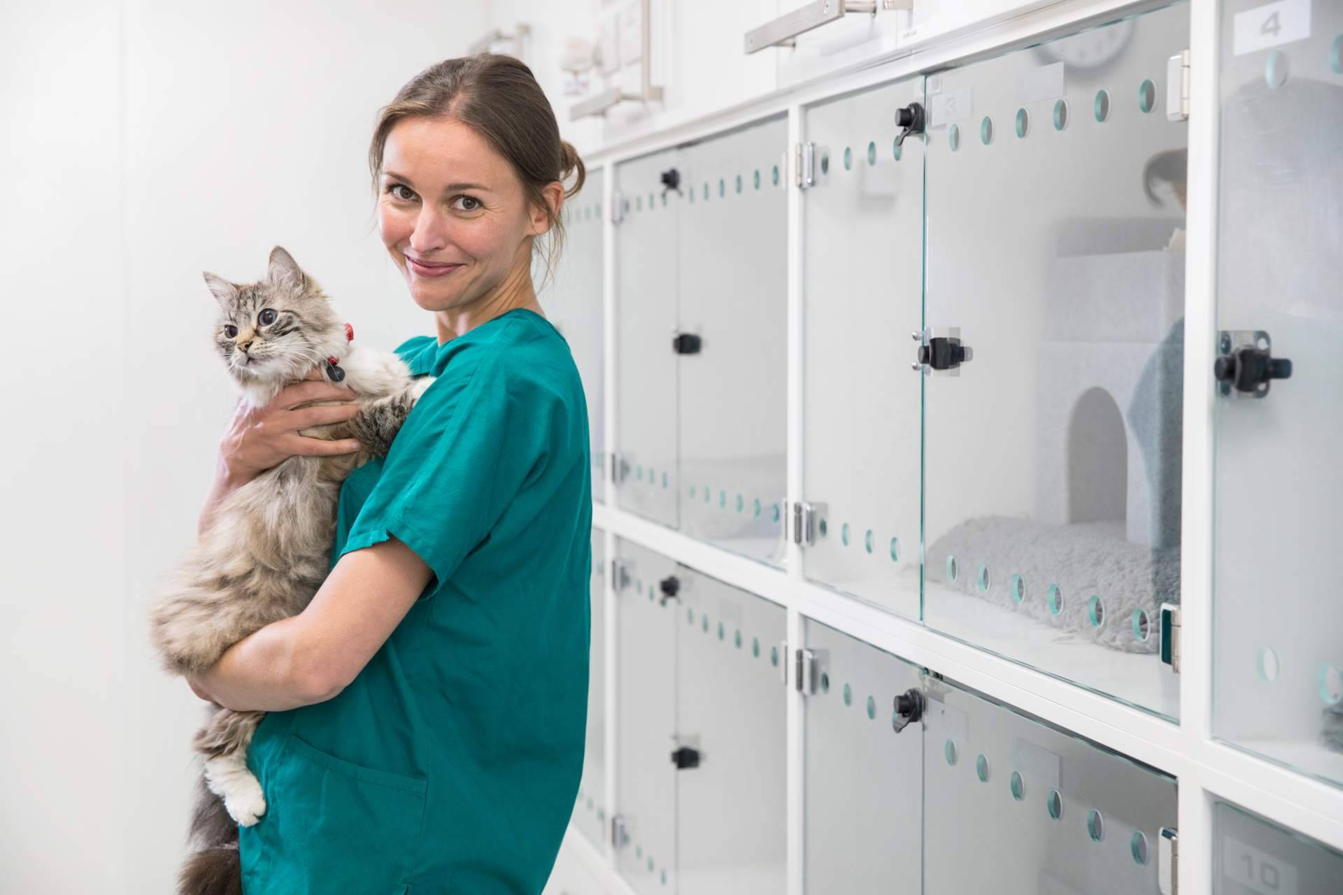 El seguro veterinario mejor valorado del mercado en Trustpilot