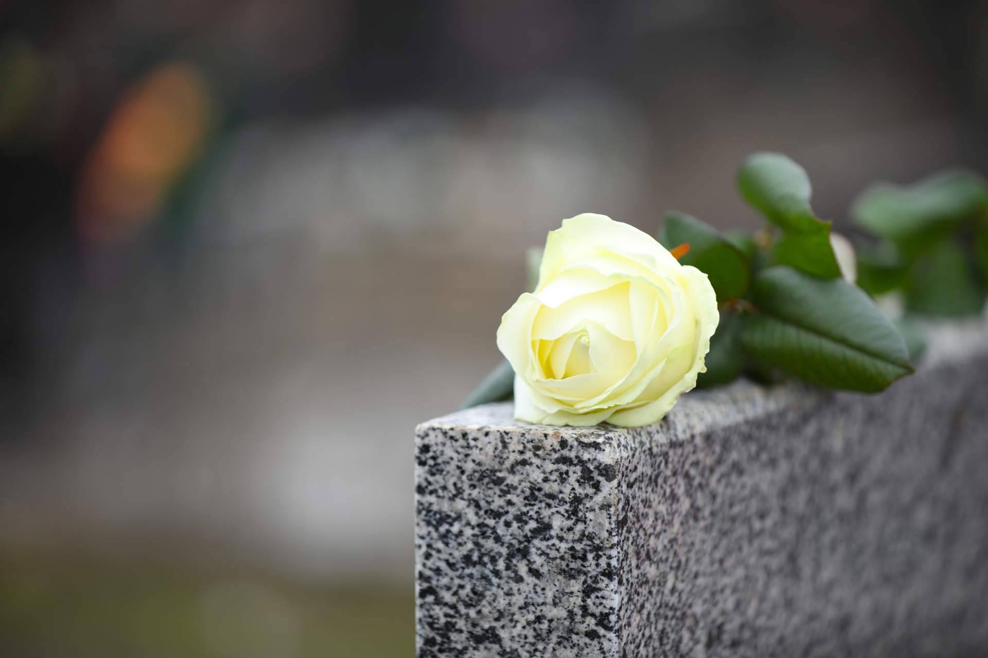 El interés por las flores para el cementerio crece en un 800 % en el Día de Todos los Santos