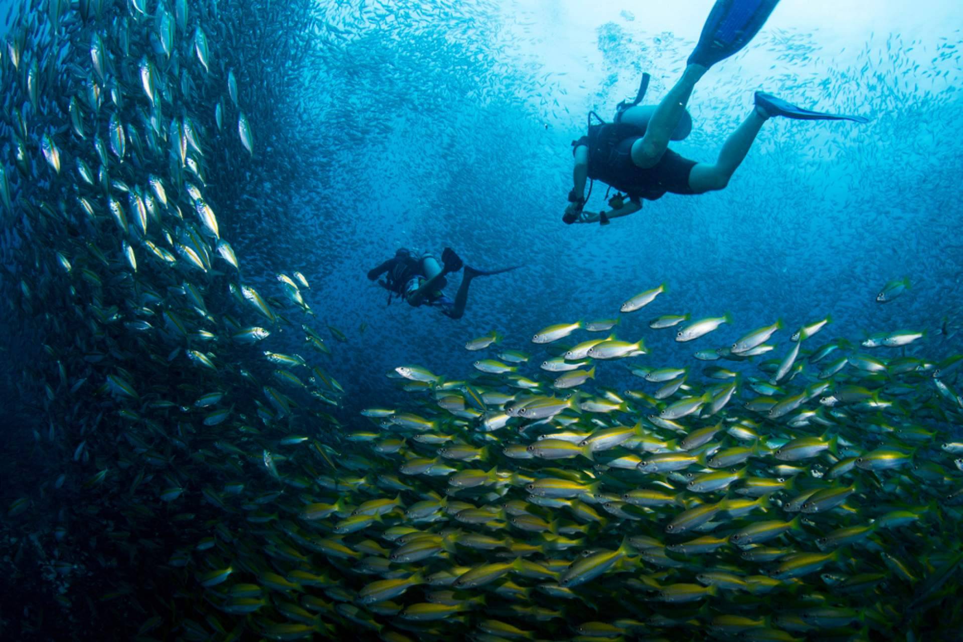 Nitro Koh Tao, escuela de buceo en Tailandia