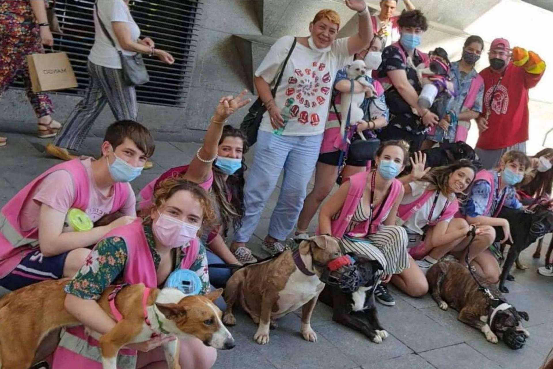 En PERROBUENO las mascotas están como en casa, libres y sin jaulas