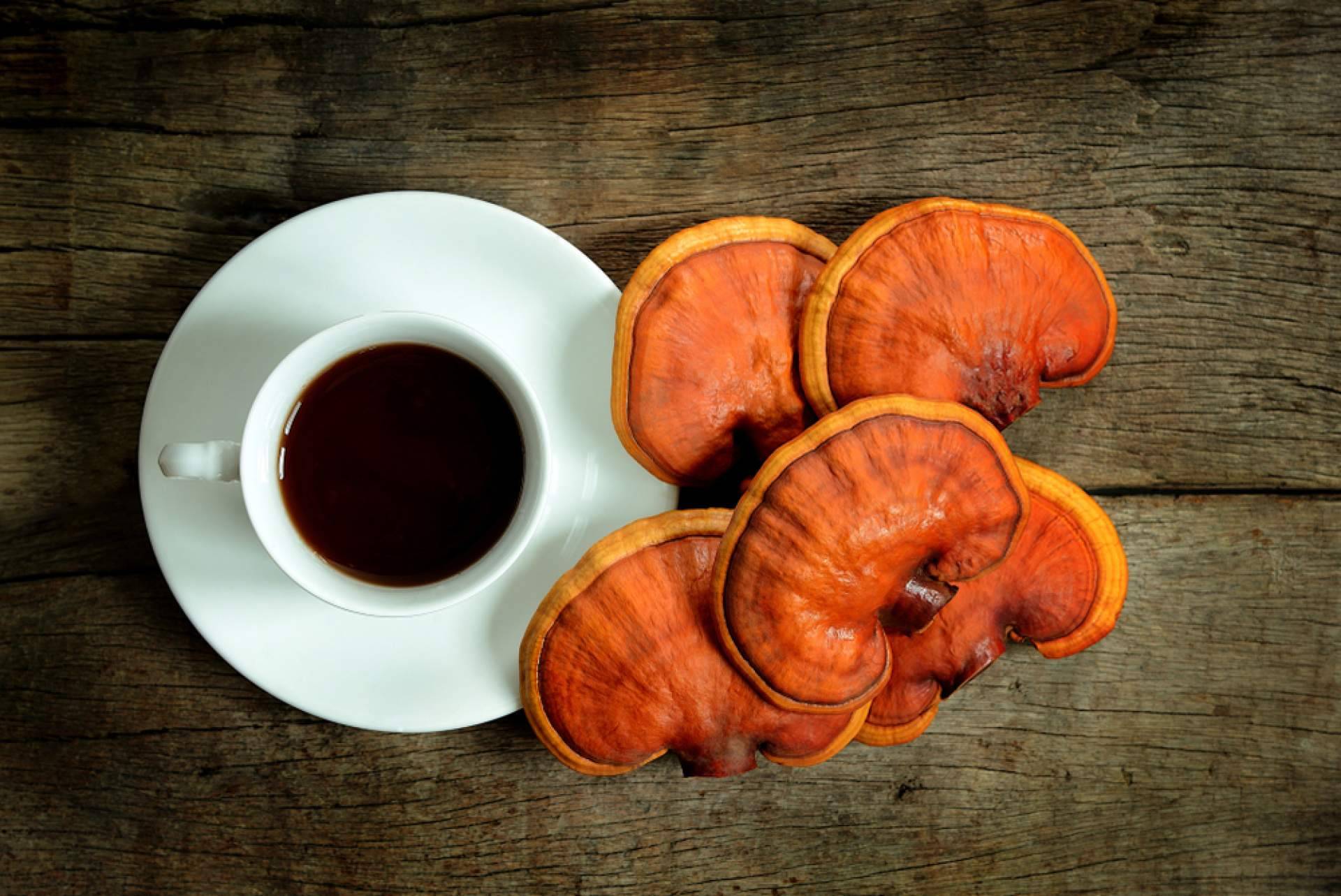 La Tienda De Cristóbal sobre la combinación de café con ganoderma