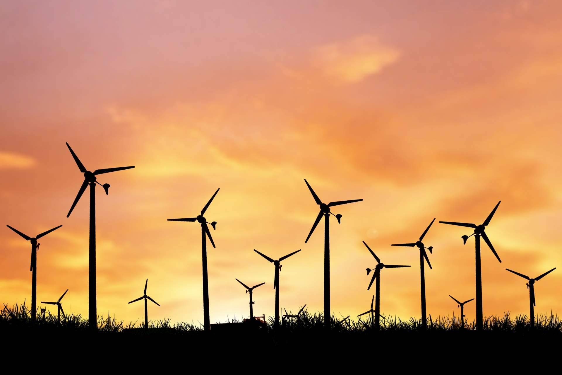 ¿Por qué son importantes los seguros de caución para las empresas de energías renovables de hoy? Consorcio Europeo de Avales lo explica