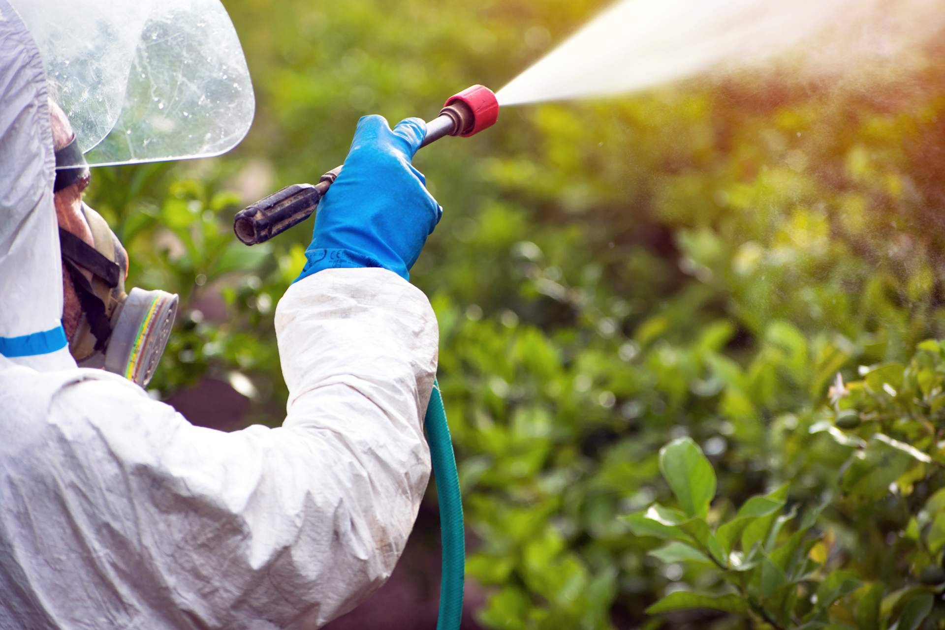Bioplanet Ibérica, del grupo de gestores de Royal Euroservice Consulting S.L., se dedica al control de plagas