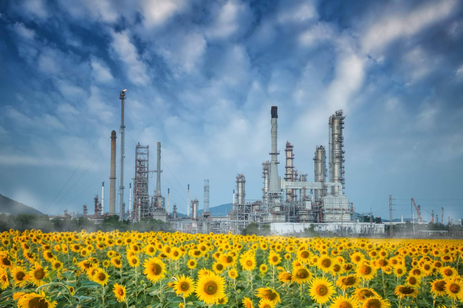 La importancia de la sostenibilidad en las industrias químicas