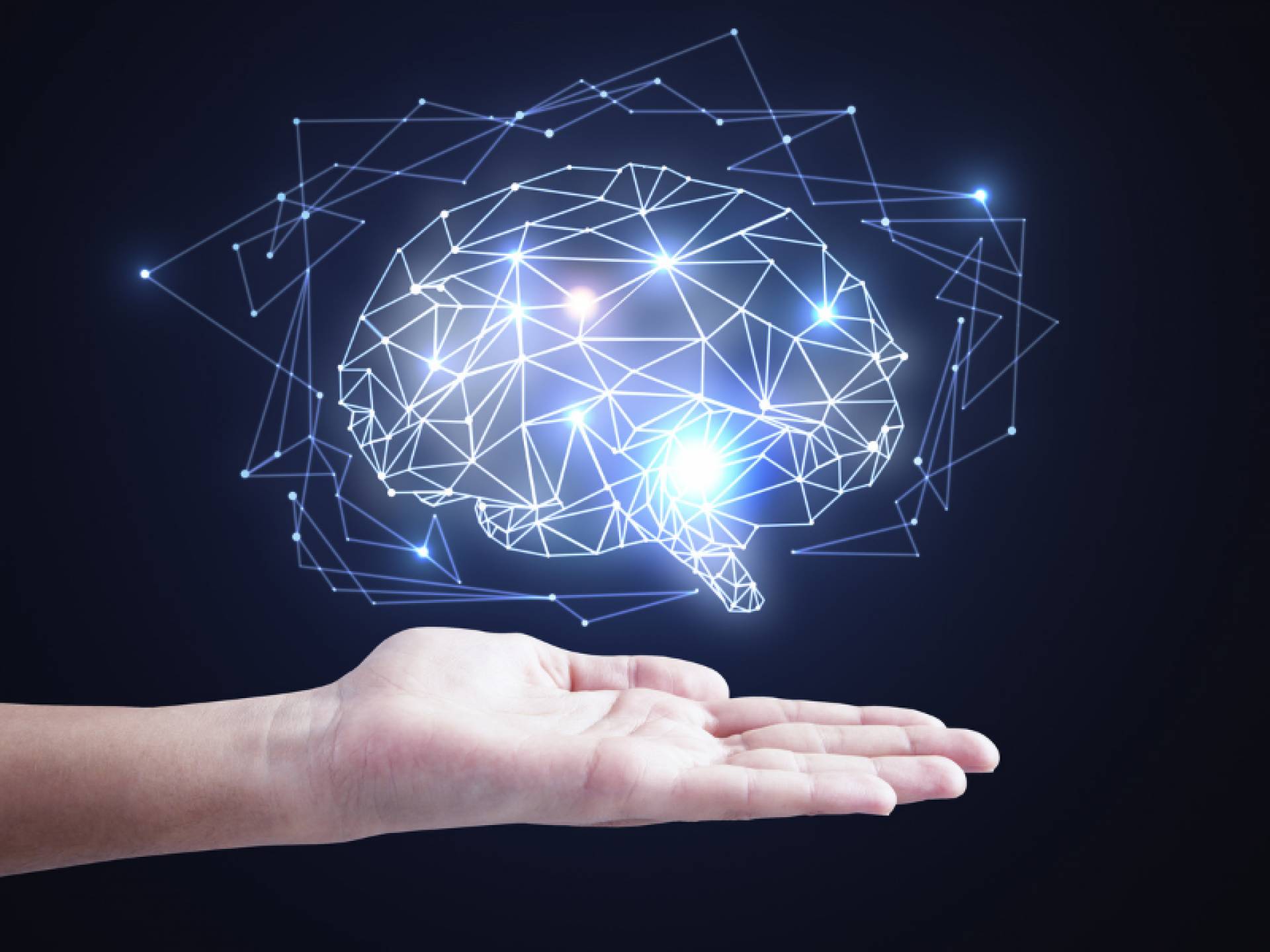 Nootrópicos naturales de Nutribiolite: los suplementos que ayudan a mejorar el rendimiento cognitivo sin efectos secundarios