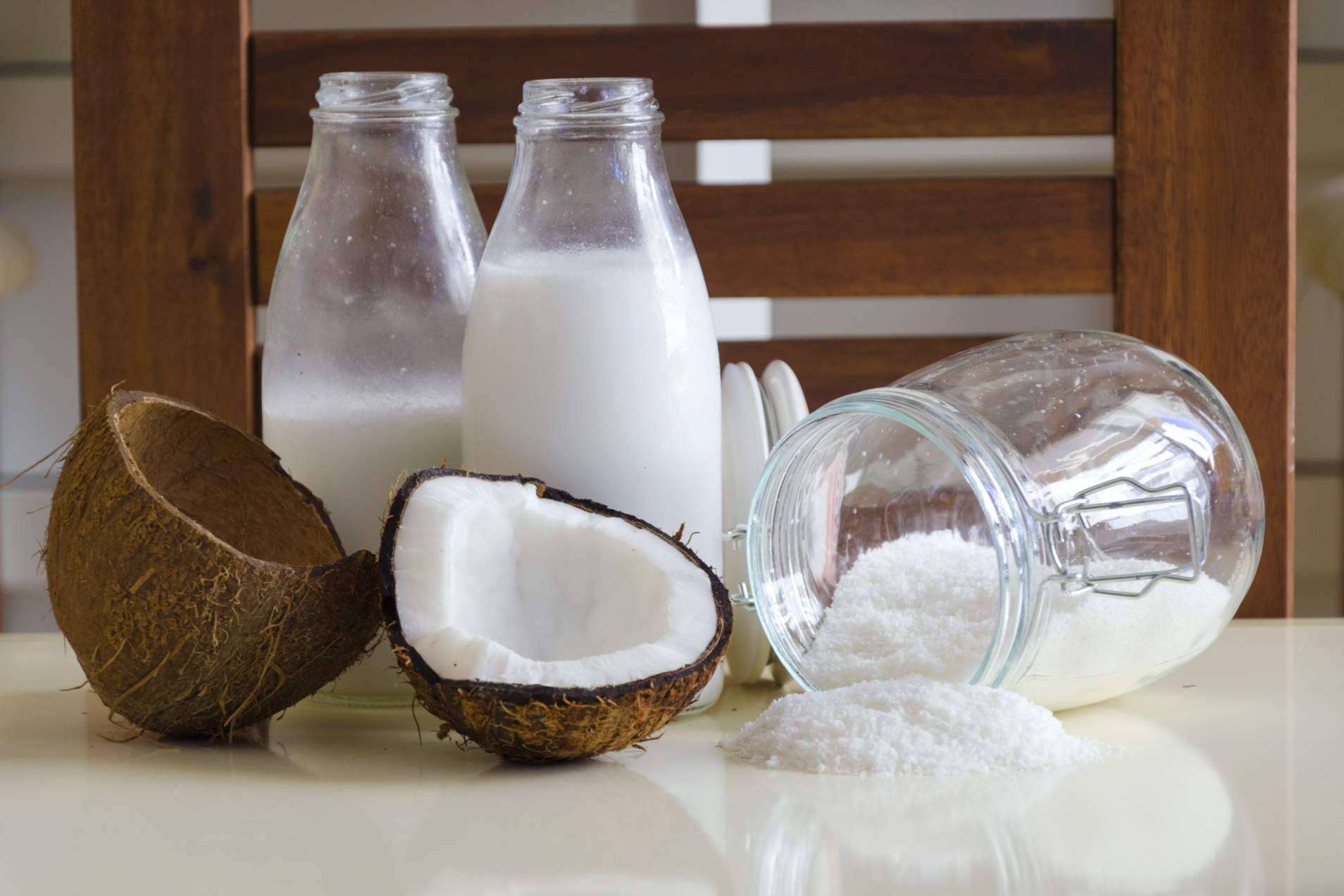 Leche de coco en polvo, el producto cautivador de Mediterranean Superfoods