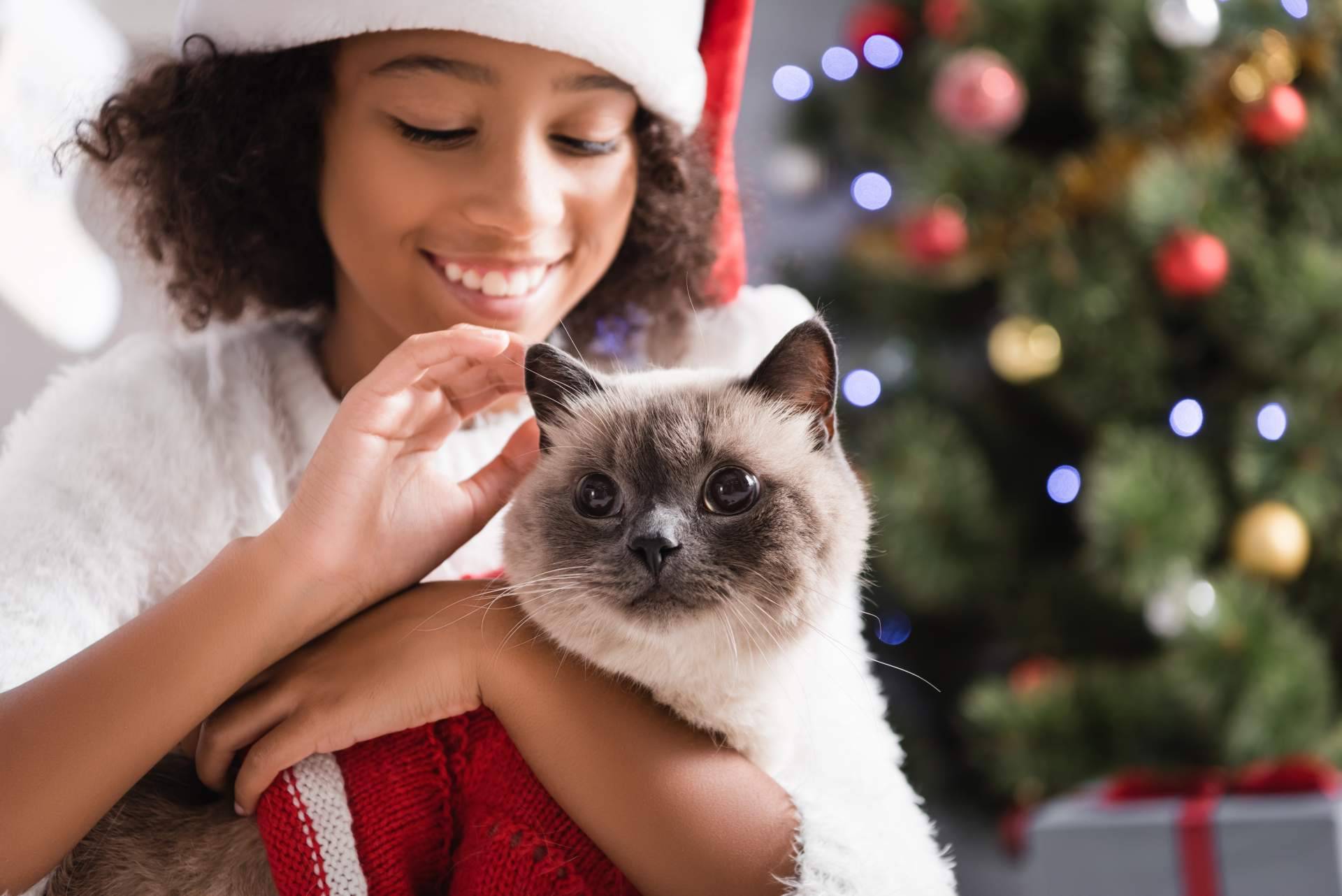 Navidad en familia multiespecie. ¿Cómo incluir los perros y gatos en las fiestas?
