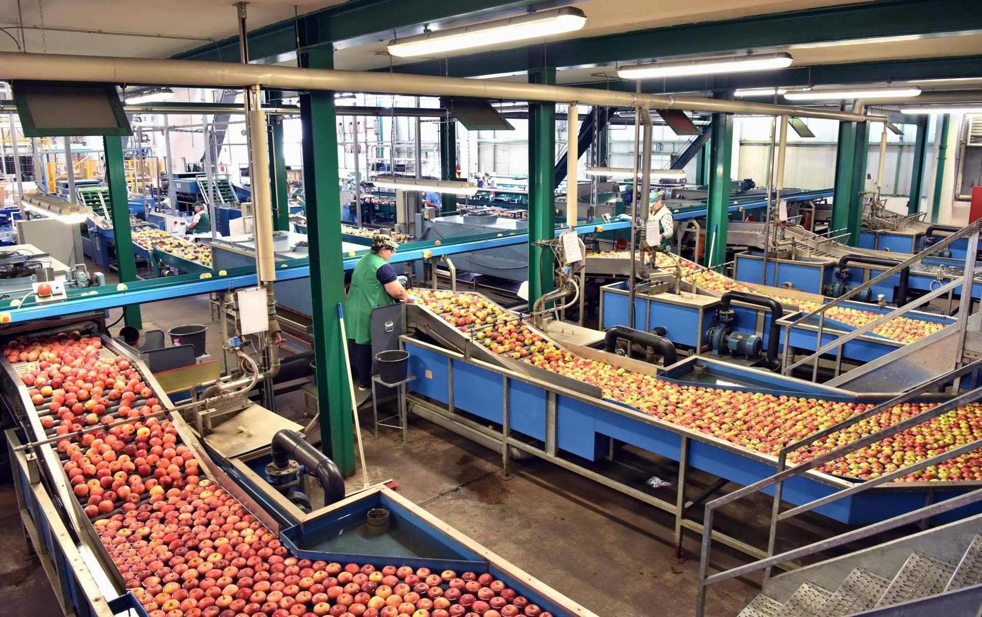 La importancia de la limpieza y desinfección de las instalaciones en las empresas alimentarias