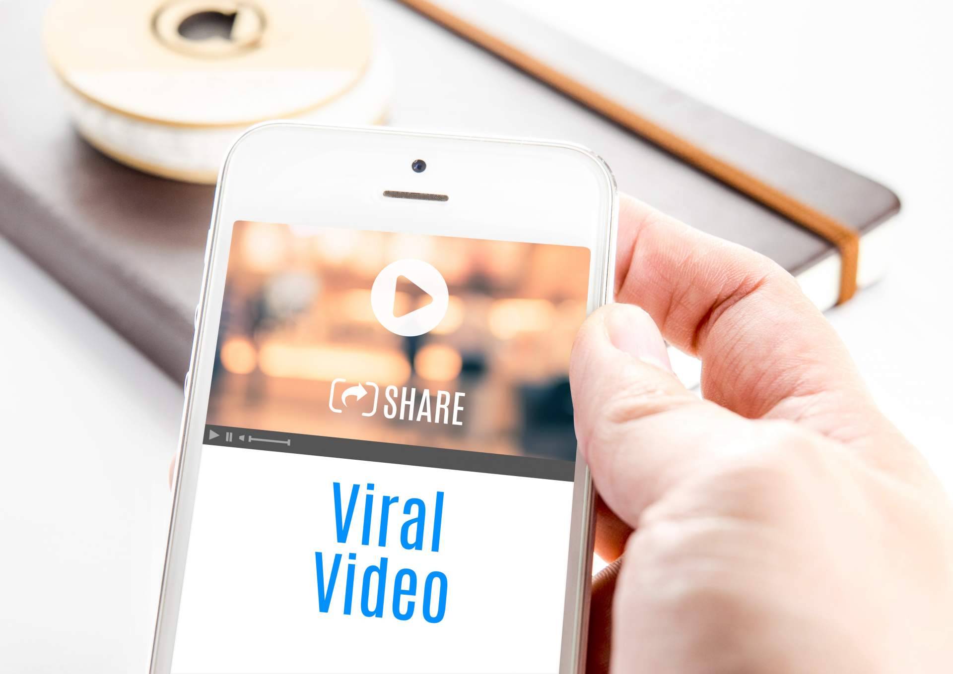 Virolico, la página web donde el lector encontrará todos los contenidos virales del momento